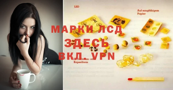 шишки Абаза