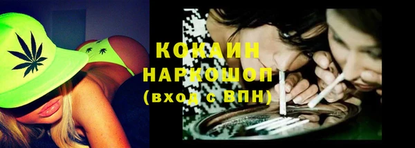 шишки Абаза