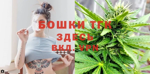 прущие грибы Абинск