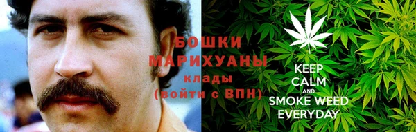 шишки Абаза