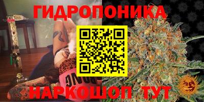 таблы Пушкино