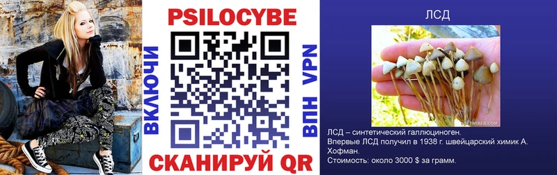 дарк нет Telegram  Ухта  Галлюциногенные грибы прущие грибы 
