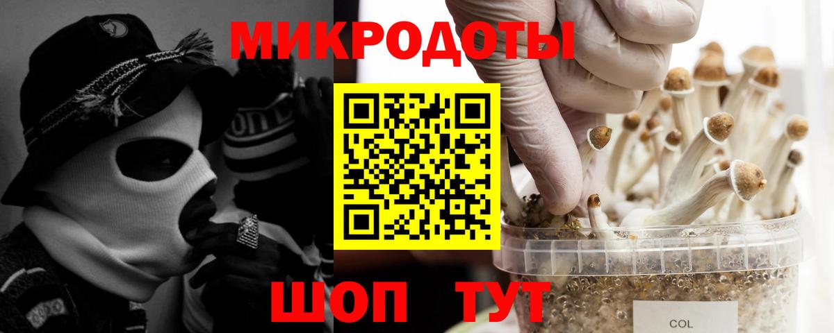 Псилоцибиновые грибы ЛСД Ухта